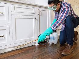 Best Pest Prevention Services  in Fairfield, TX